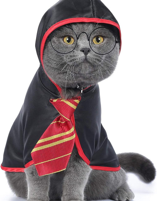 Load image into Gallery viewer, Cat Halloween Costume Funny Pet Clothes Kitten Costumes Small Dog Accessories Outfits
