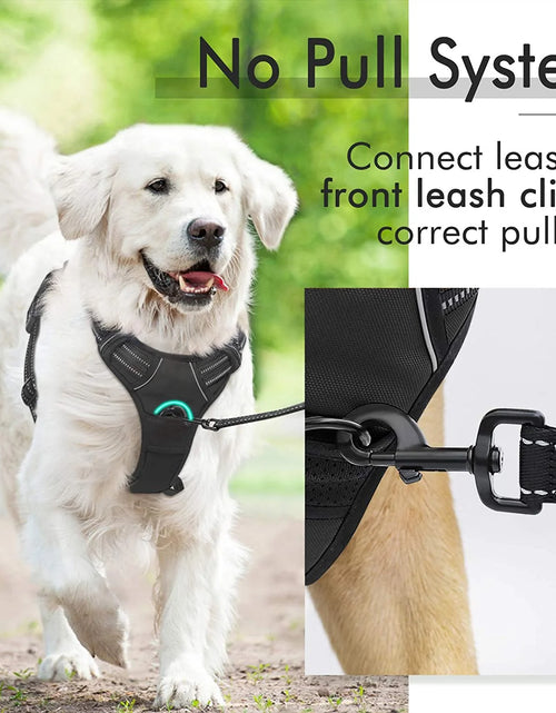 Load image into Gallery viewer, Dog Harness, No-Pull Pet Harness with 2 Leash Clips, Adjustable Soft Padded Dog Vest, Reflective Outdoor Pet Oxford Vest with Easy Control Handle for Large Dogs, Black
