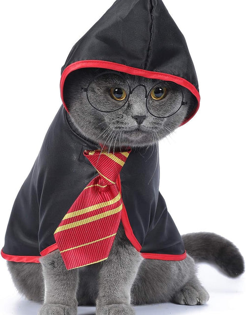 Load image into Gallery viewer, Cat Halloween Costume Funny Pet Clothes Kitten Costumes Small Dog Accessories Outfits
