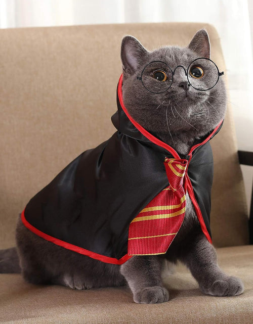 Load image into Gallery viewer, Cat Halloween Costume Funny Pet Clothes Kitten Costumes Small Dog Accessories Outfits
